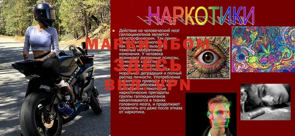 стафф Михайловка