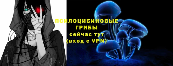 ECSTASY Михайлов