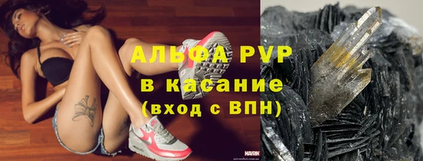 ECSTASY Михайлов