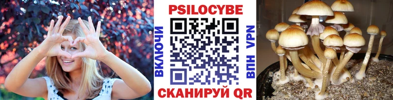 Галлюциногенные грибы ЛСД  цены наркотик  Новодвинск 