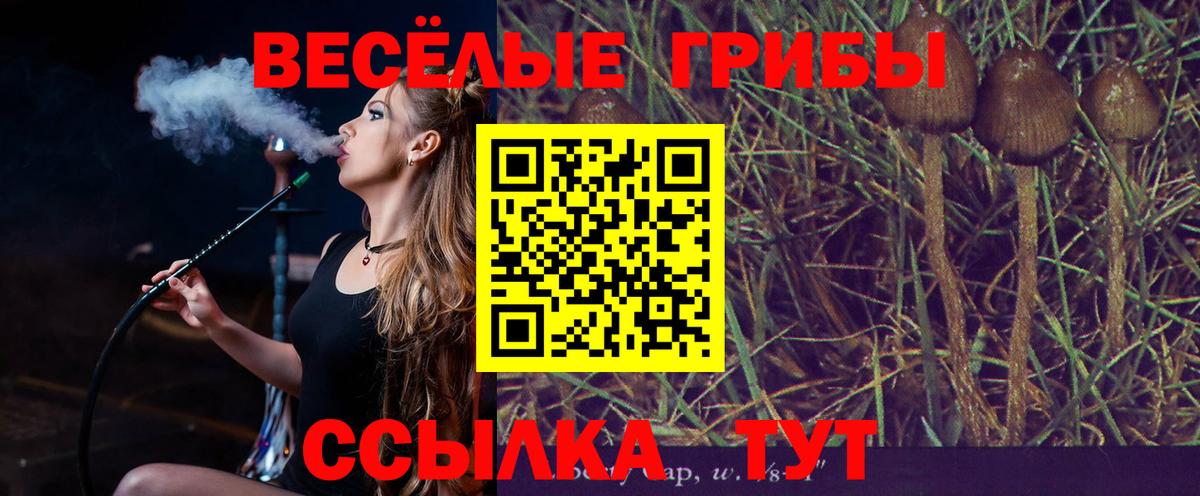 Псилоцибиновые грибы Magic Shrooms Новодвинск