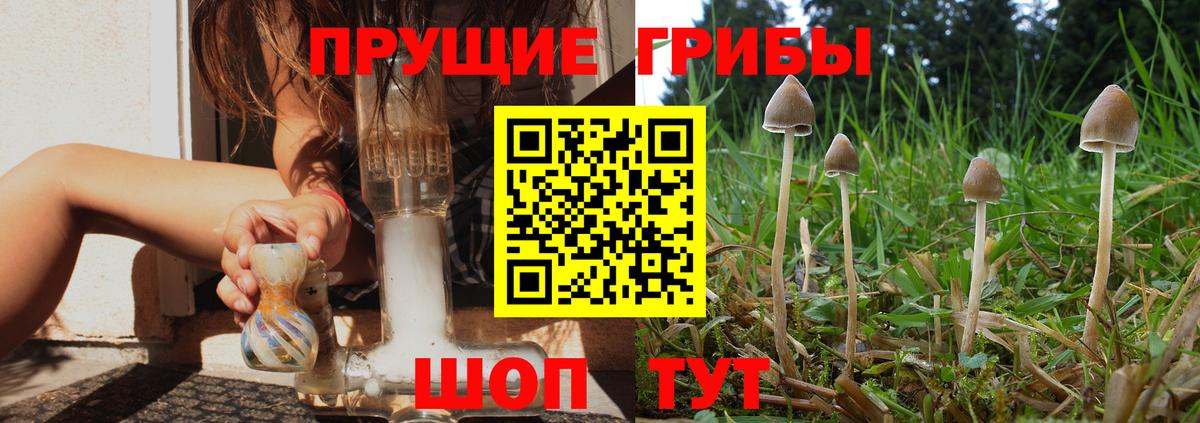Новодвинск  Псилоцибиновые грибы Magic Shrooms  Вход с VPN 